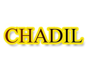 口紅香水洗面奶美容面膜3類化妝商標(biāo)CHADIL